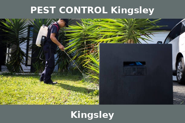 PEST CONTROL Kingsley
